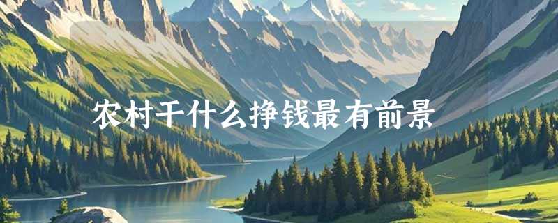 农村干什么挣钱最有前景