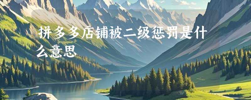 拼多多店铺被二级惩罚是什么意思