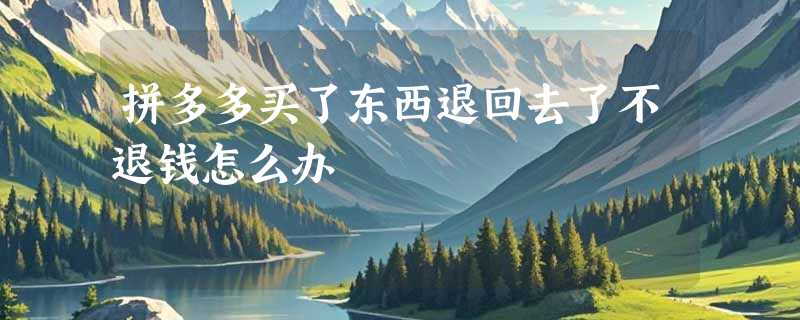 拼多多买了东西退回去了不退钱怎么办