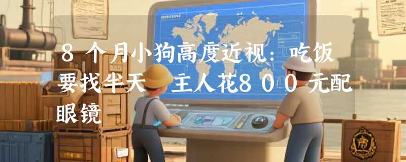 8个月小狗高度近视：吃饭要找半天 主人花800元配眼镜