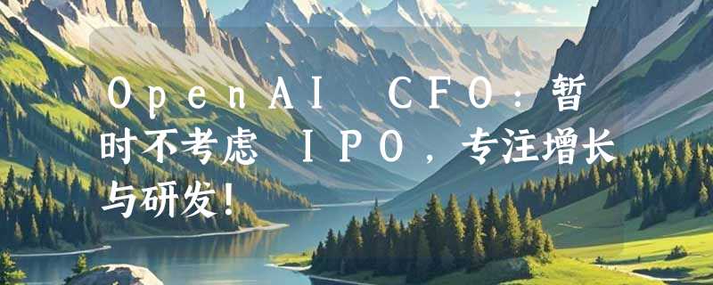 OpenAI CFO：暂时不考虑 IPO，专注增长与研发！