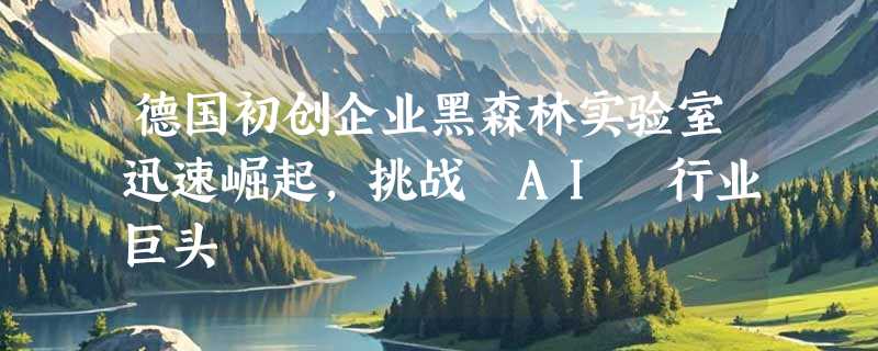 德国初创企业黑森林实验室迅速崛起，挑战 AI 行业巨头