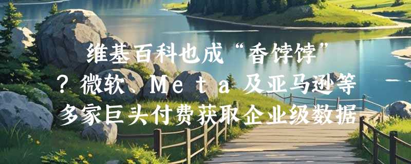 ​维基百科也成“香饽饽”?微软、Meta及亚马逊等多家巨头付费获取企业级数据访问权