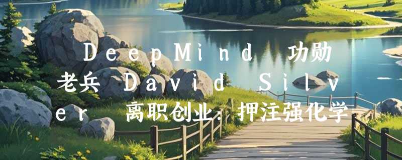 ​DeepMind 功勋老兵 David Silver 离职创业：押注强化学习，挑战大模型局限性