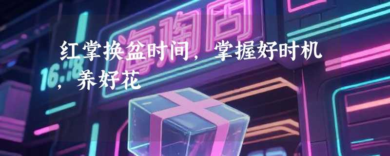 红掌换盆时间，掌握好时机，养好花