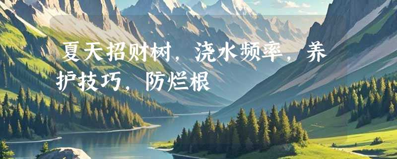 夏天招财树，浇水频率，养护技巧，防烂根