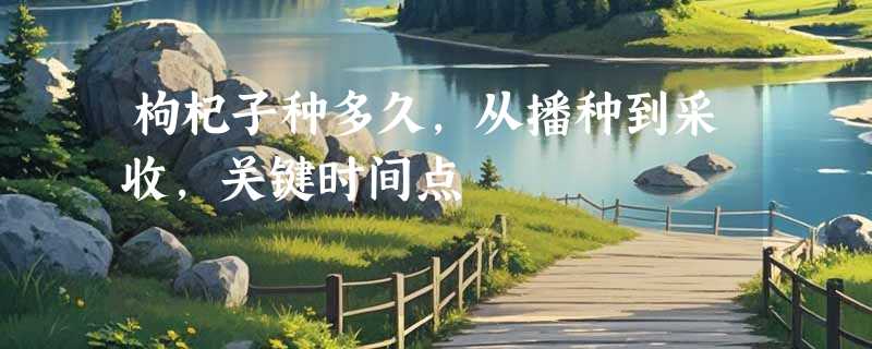 枸杞子种多久，从播种到采收，关键时间点