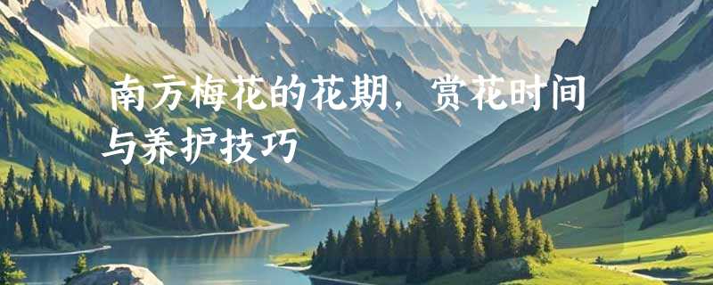 南方梅花的花期，赏花时间与养护技巧
