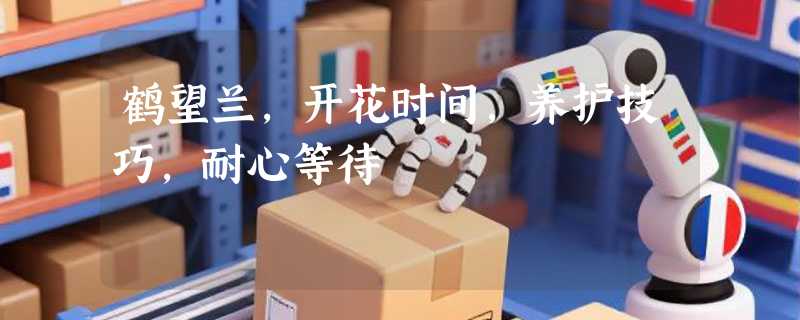 鹤望兰，开花时间，养护技巧，耐心等待
