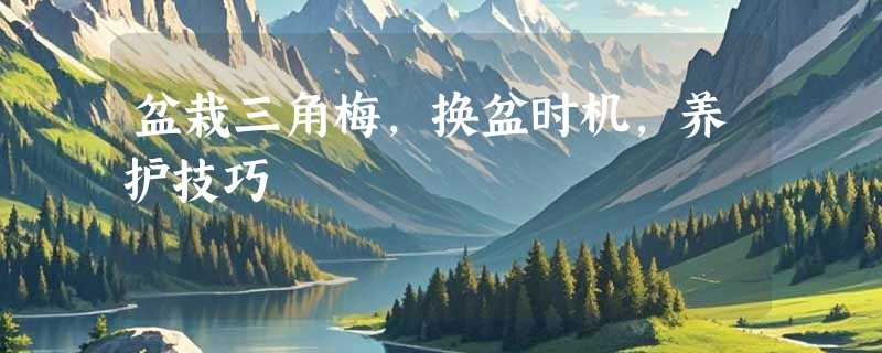 盆栽三角梅，换盆时机，养护技巧