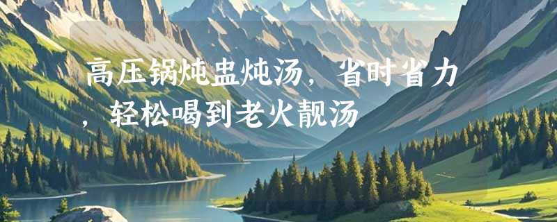 高压锅炖盅炖汤，省时省力，轻松喝到老火靓汤