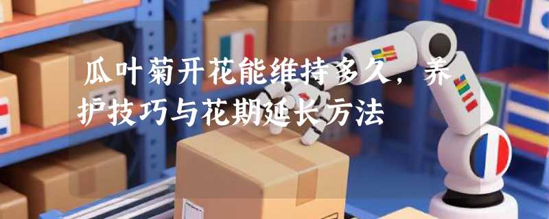 瓜叶菊开花能维持多久，养护技巧与花期延长方法