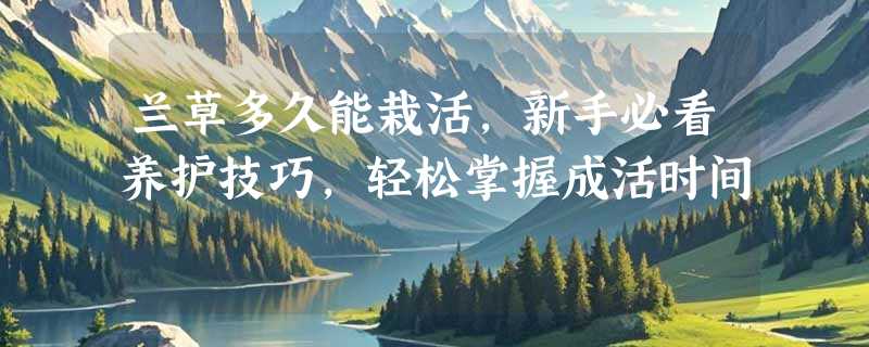 兰草多久能栽活，新手必看养护技巧，轻松掌握成活时间