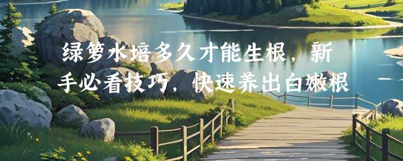 绿箩水培多久才能生根，新手必看技巧，快速养出白嫩根