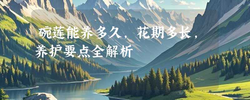 碗莲能养多久，花期多长，养护要点全解析
