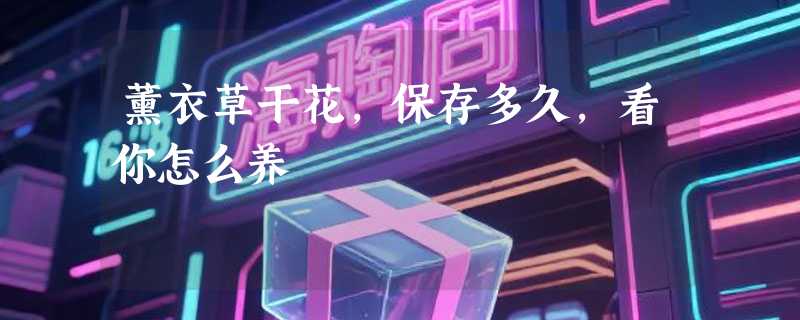 薰衣草干花，保存多久，看你怎么养