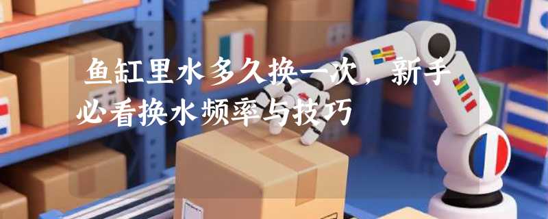 鱼缸里水多久换一次，新手必看换水频率与技巧