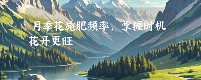 月季花施肥频率，掌握时机花开更旺