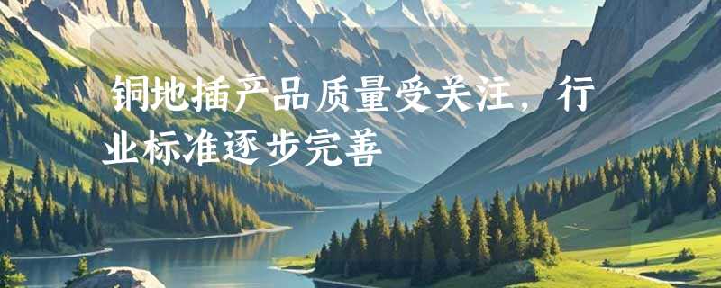 铜地插产品质量受关注，行业标准逐步完善