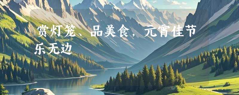 赏灯笼、品美食，元宵佳节乐无边
