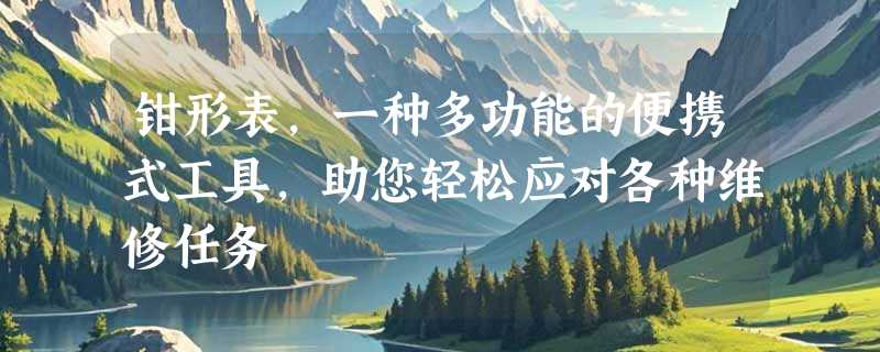 钳形表，一种多功能的便携式工具，助您轻松应对各种维修任务