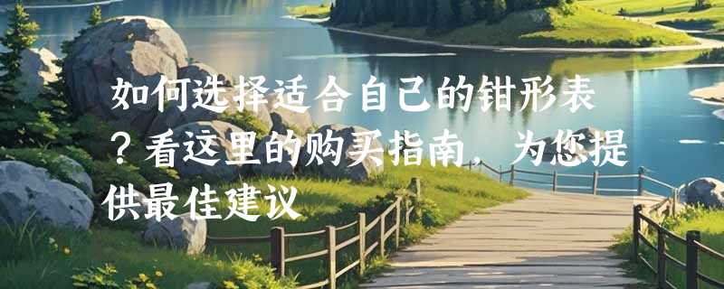 如何选择适合自己的钳形表？看这里的购买指南，为您提供最佳建议