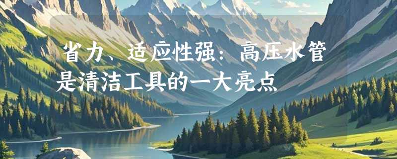 省力、适应性强：高压水管是清洁工具的一大亮点