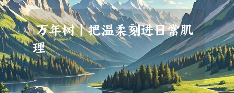 万年树丨把温柔刻进日常肌理