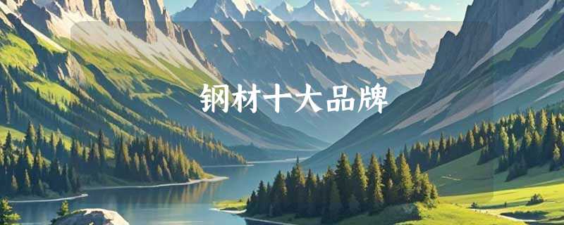 钢材十大品牌
