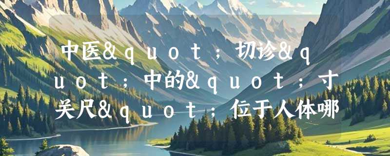 中医"切诊"中的"寸关尺"位于人体哪个部位？