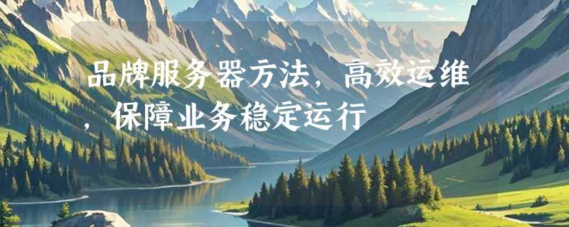 品牌服务器方法，高效运维，保障业务稳定运行