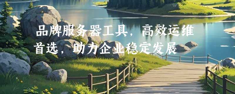 品牌服务器工具，高效运维首选，助力企业稳定发展