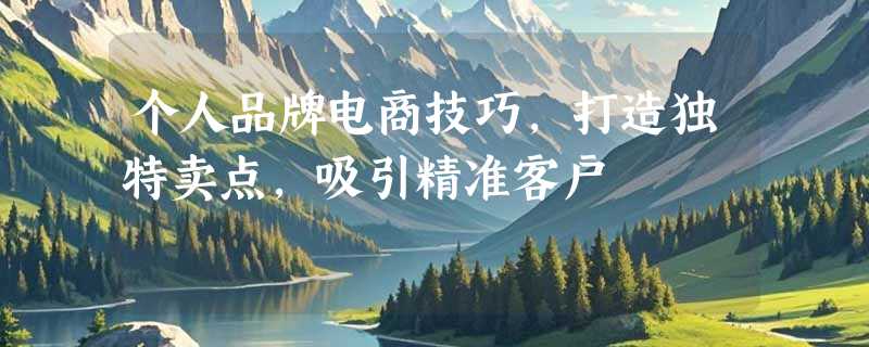 个人品牌电商技巧，打造独特卖点，吸引精准客户
