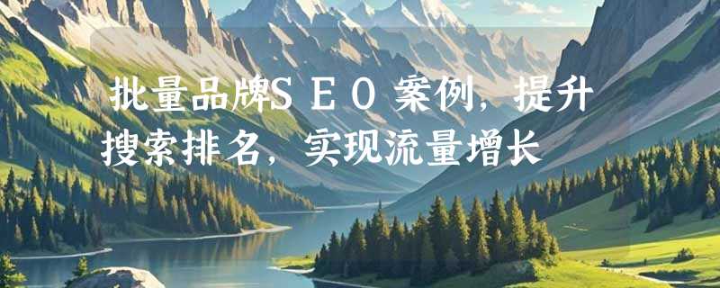 批量品牌SEO案例，提升搜索排名，实现流量增长