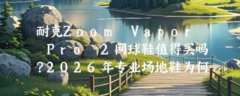 耐克Zoom Vapor Pro 2网球鞋值得买吗？2026年专业场地鞋为何更看重包裹性与地毯适配？