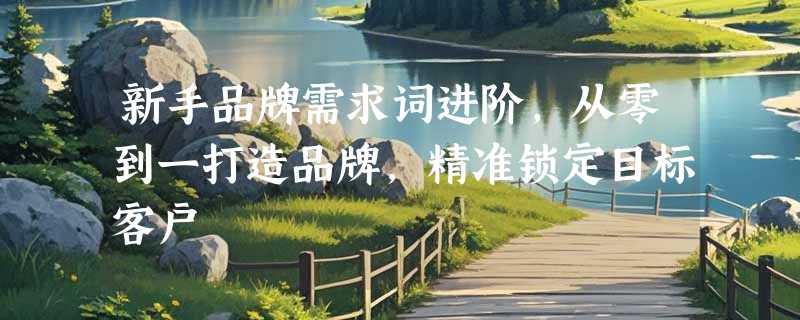 新手品牌需求词进阶，从零到一打造品牌，精准锁定目标客户