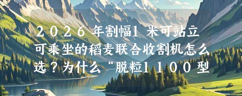2026年割幅1米可站立可乘坐的稻麦联合收割机怎么选？为什么“脱粒1100型”正成小地块主力？