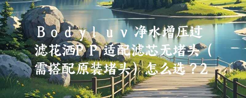 Bodyluv净水增压过滤花洒PP适配滤芯无堵头（需搭配原装堵头）怎么选？2026年花洒滤芯升级为何更重“即装即用”与“材质兼容性”？
