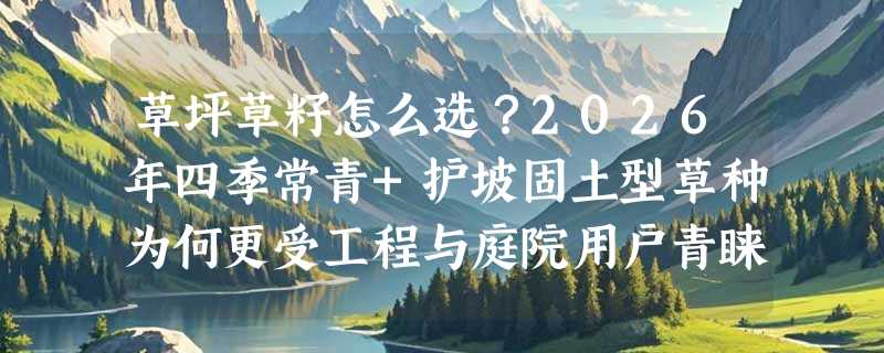草坪草籽怎么选？2026年四季常青+护坡固土型草种为何更受工程与庭院用户青睐？