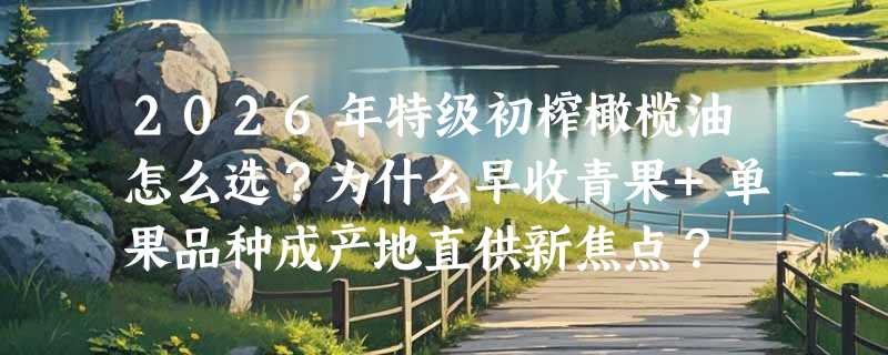 2026年特级初榨橄榄油怎么选？为什么早收青果+单果品种成产地直供新焦点？