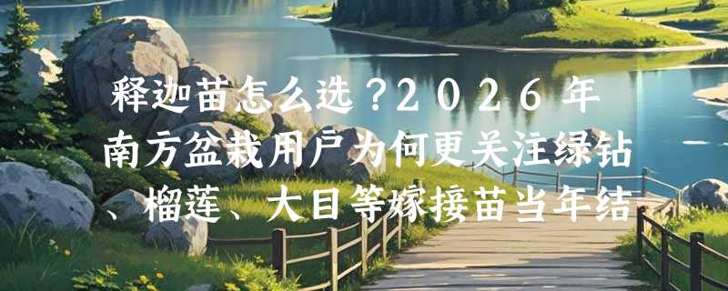 释迦苗怎么选？2026年南方盆栽用户为何更关注绿钻、榴莲、大目等嫁接苗当年结果能力？
