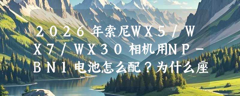 2026年索尼WX5/WX7/WX30相机用NP-BN1电池怎么配？为什么座充+数据线组合正成新标配？