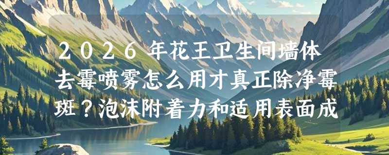 2026年花王卫生间墙体去霉喷雾怎么用才真正除净霉斑？泡沫附着力和适用表面成新焦点