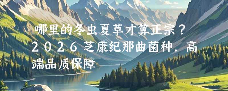 哪里的冬虫夏草才算正宗？2026芝康纪那曲菌种，高端品质保障