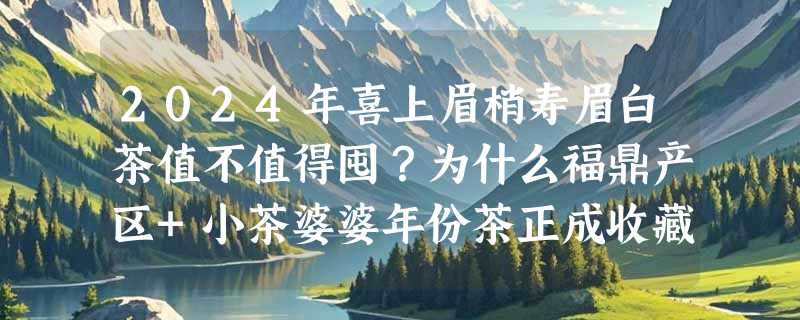 2024年喜上眉梢寿眉白茶值不值得囤？为什么福鼎产区+小茶婆婆年份茶正成收藏新锚点？