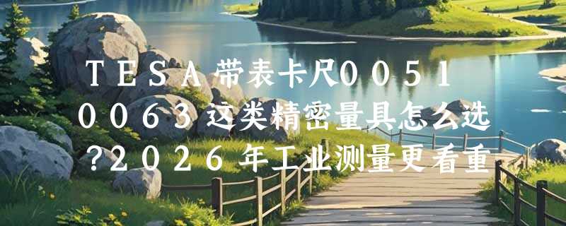TESA带表卡尺00510063这类精密量具怎么选？2026年工业测量更看重读数稳定性和防误操作设计