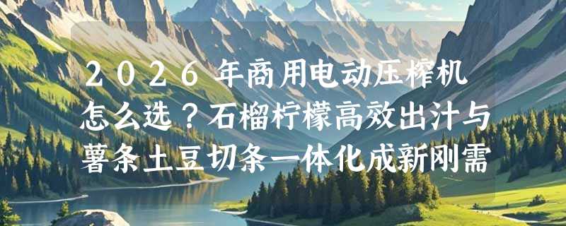 2026年商用电动压榨机怎么选？石榴柠檬高效出汁与薯条土豆切条一体化成新刚需