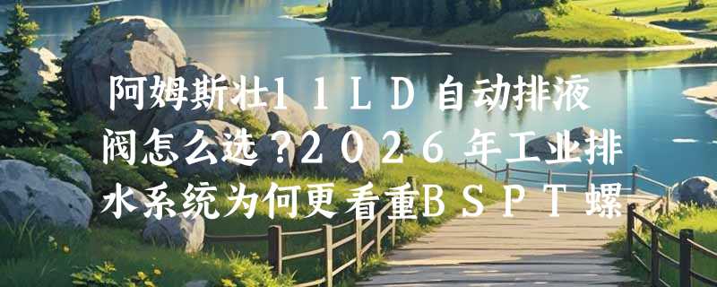 阿姆斯壮11LD自动排液阀怎么选？2026年工业排水系统为何更看重BSPT螺纹与不锈钢材质？