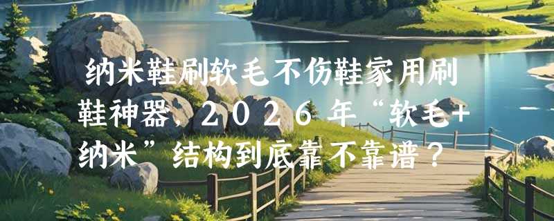 纳米鞋刷软毛不伤鞋家用刷鞋神器，2026年“软毛+纳米”结构到底靠不靠谱？