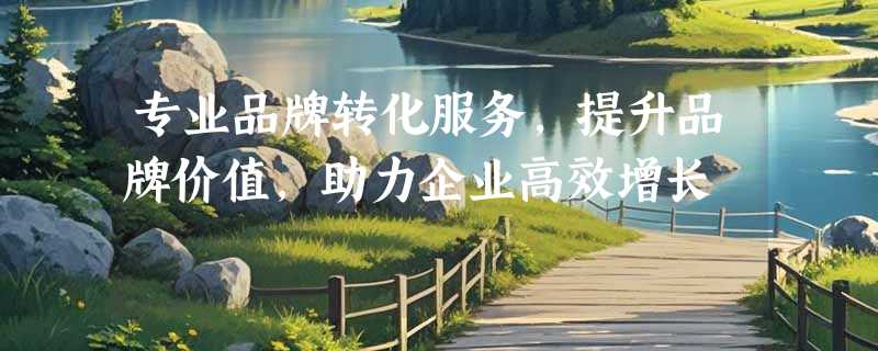 专业品牌转化服务，提升品牌价值，助力企业高效增长